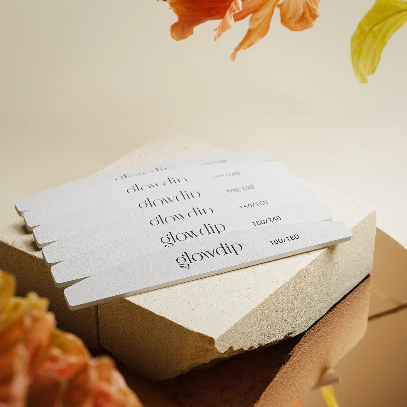 Premium Vijlen Set (6 stuks)